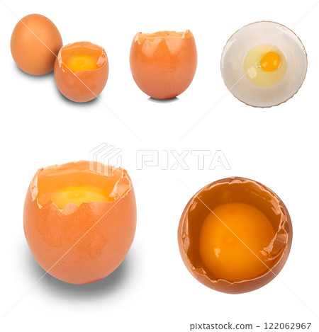 egg chicken isolated on white background 122062967