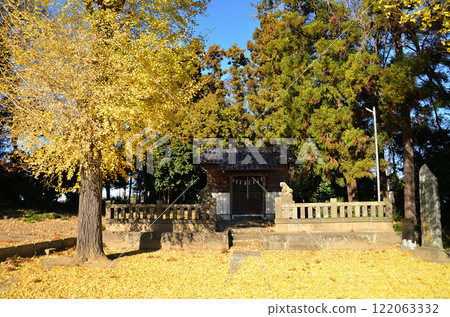 Golden Goryo Shrine in Kamiiwase, Hanyu City, Saitama Prefecture 122063332