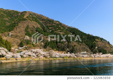 [Shiga Prefecture] Cherry blossoms of Kaizu Osaki seen from a cherry blossom cruise 122063850