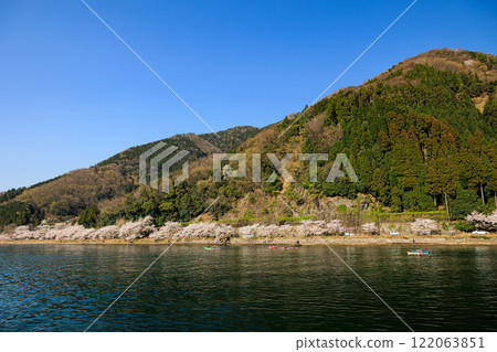 [Shiga Prefecture] Cherry blossoms of Kaizu Osaki seen from a cherry blossom cruise 122063851