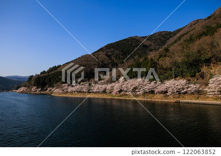 [滋賀縣]乘坐櫻花巡遊船欣賞海津大崎的櫻花 122063852