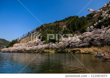 [滋賀縣]海津大崎琵琶湖和盛開的櫻花 122063855