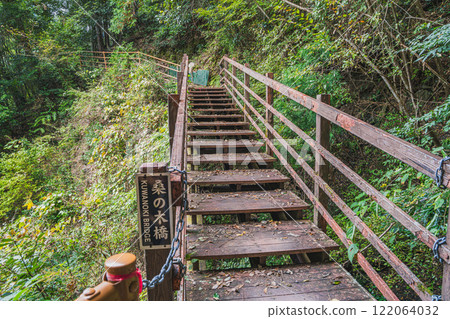 Walking across a mulberry tree bridge amidst fresh greenery near Nagashima Park in autumn in Kawanehon Town (Shizuoka Prefecture) 122064032