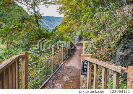 Scenery of Inugaeri Bridge surrounded by fresh greenery near Nagashima Park in autumn in Kawane Town (Shizuoka Prefecture) Scenery of Inugaeri Bridge surrounded by fresh greenery near Nagashima Park in autumn in Kawane Town (Shizuoka Prefecture) 122064522