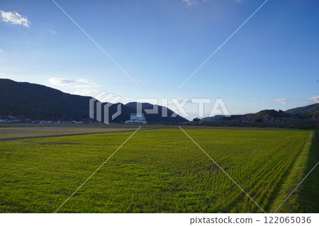 川棚川的清晨景色 122065036