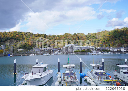 琴之浦街景 122065038