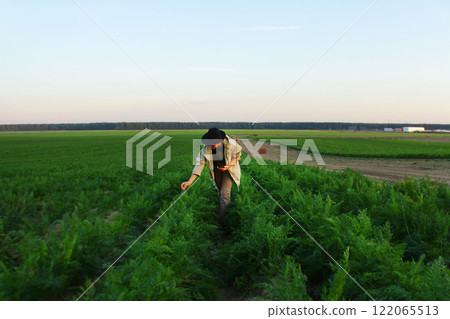 Woman harvesting fresh carrot from vegetable garden. Homegrown produce and organic gardening. result of his work in field 122065513