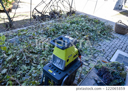 Autumn work in gardening, pruning and crushing branches, wood, in a shredder and mulcher 122065859