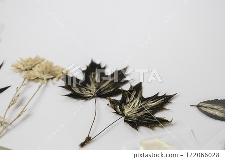 Handmade from leaves and paints. Herbarium of dried leaf painted Handmade from leaves and paints. Herbarium of dried leaf painted 122066028