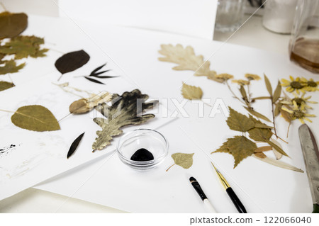 Handmade from leaves and paints. Preparations for frame craft from leaves with paints, brushes. Herbarium of dried different plants and flowers placed on paper. 122066040