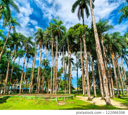 Palmentuin, Palm Tree Garden in the center of Paramaribo, the capital of Suriname in South America Palmentuin, Palm Tree Garden in the center of Paramaribo, the capital of Suriname in South America 122066306