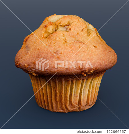 Vanilla Muffin with Golden Crust Isolated 3D illustration 122066367