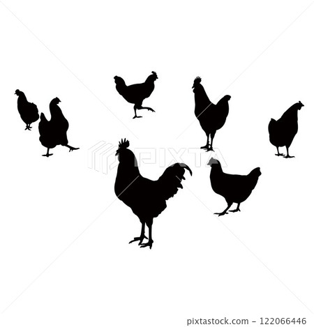 seven chicken body silhouette vector seven chicken body silhouette vector 122066446