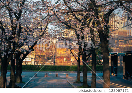 Photographing cherry blossoms in Higashiyama Gion Shirakawa, Kyoto City in spring in the ancient capital Photographing cherry blossoms in Higashiyama Gion Shirakawa, Kyoto City in spring in the ancient capital 122067171