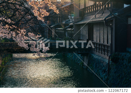 Photographing cherry blossoms in Higashiyama Gion Shirakawa, Kyoto City in spring in the ancient capital Photographing cherry blossoms in Higashiyama Gion Shirakawa, Kyoto City in spring in the ancient capital 122067172