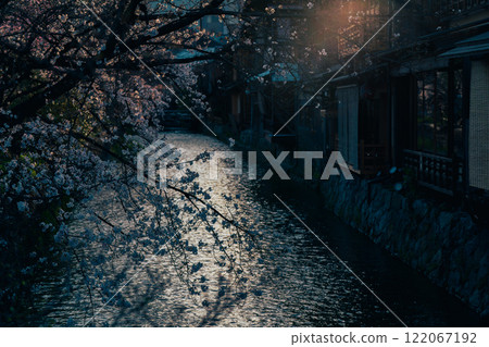 Photographing cherry blossoms in Higashiyama Gion Shirakawa, Kyoto City in spring in the ancient capital 122067192