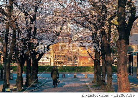 Photographing cherry blossoms in Higashiyama Gion Shirakawa, Kyoto City in spring in the ancient capital 122067199