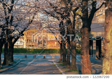 Photographing cherry blossoms in Higashiyama Gion Shirakawa, Kyoto City in spring in the ancient capital 122067200