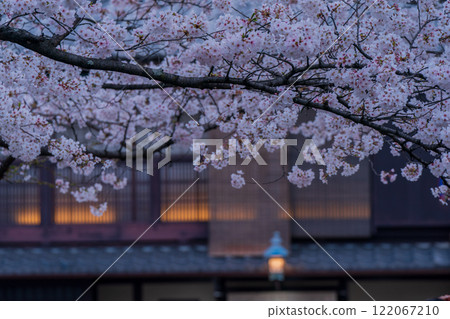 Photographing cherry blossoms in Higashiyama Gion Shirakawa, Kyoto City in spring in the ancient capital 122067210