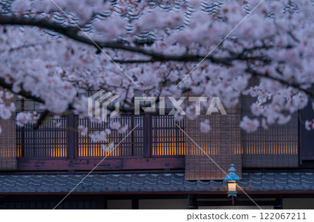 Photographing cherry blossoms in Higashiyama Gion Shirakawa, Kyoto City in spring in the ancient capital 122067211