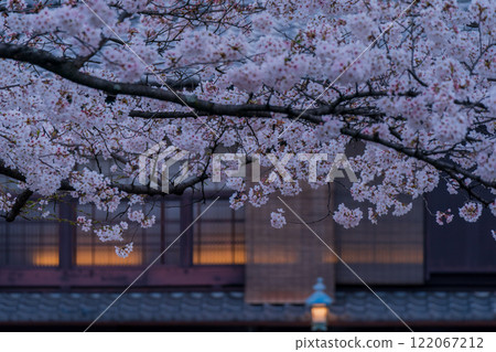 Photographing cherry blossoms in Higashiyama Gion Shirakawa, Kyoto City in spring in the ancient capital 122067212