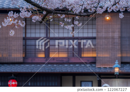 Photographing cherry blossoms in Higashiyama Gion Shirakawa, Kyoto City in spring in the ancient capital Photographing cherry blossoms in Higashiyama Gion Shirakawa, Kyoto City in spring in the ancient capital 122067227