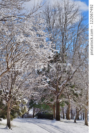 冬天的上潟公園(新潟縣) 冬天的上潟公園(新潟縣) 122067492
