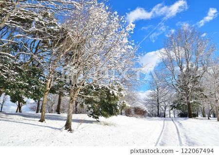 Kamisekigata Park in winter (Niigata Prefecture) 122067494