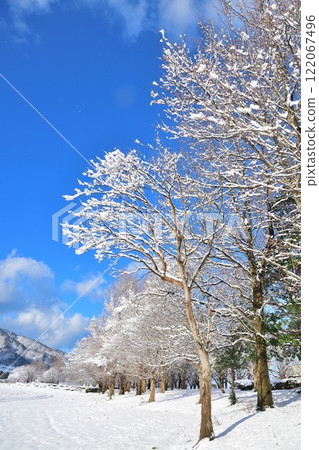 冬天的上潟公園（新潟縣） 122067496
