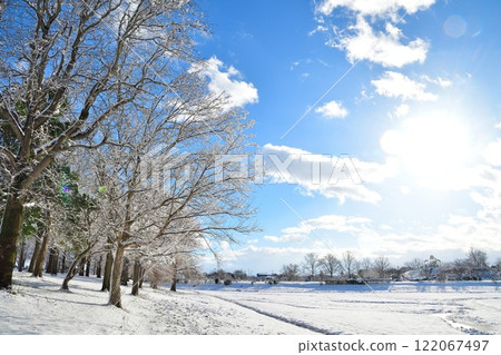 Kamisekigata Park in winter (Niigata Prefecture) 122067497