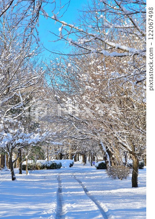 冬天的上潟公園(新潟縣) 冬天的上潟公園(新潟縣) 122067498