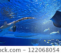 Mysterious aquarium 122068054