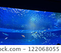 Aquarium 122068055