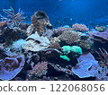 Coral Reef 122068056