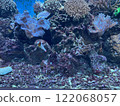 Aquarium 122068057