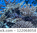 Coral Reef 122068058