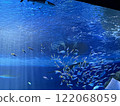 Fish school 122068059