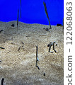 Chinese eel 122068063