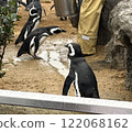 Penguins walking 122068162