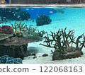 Aquarium 122068163