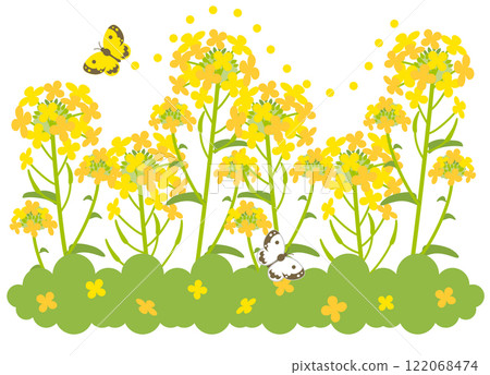 Illustration of butterflies fluttering in a rapeseed field 122068474