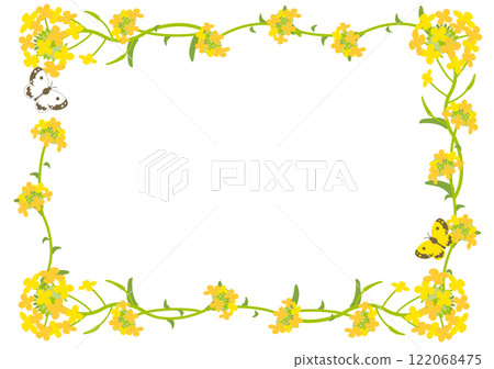 油菜花和蝴蝶的水平框架 油菜花和蝴蝶的水平框架 122068475