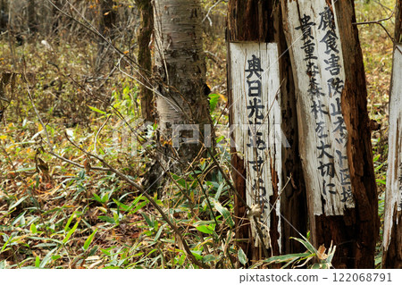 Nikko Autumn leaves Irohazaka Nikko Autumn leaves Irohazaka 122068791