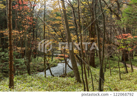 Nikko Autumn leaves Irohazaka 122068792