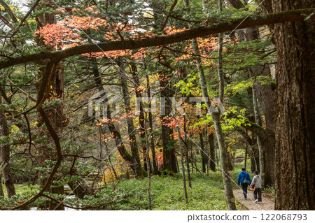 日光 秋葉 伊呂波坂 122068793