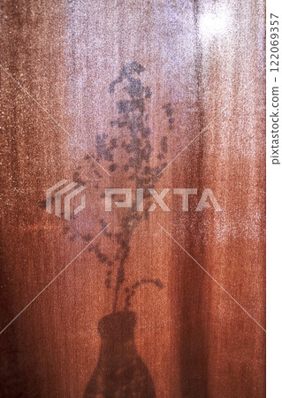Shadow of plant in vase cast on textured orange curtain with soft light creating Shadow of plant in vase cast on textured orange curtain with soft light creating 122069357