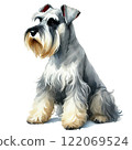 A miniature schnauzer to sit 122069524