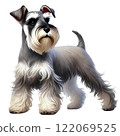  Miniature Schnauzer 122069525
