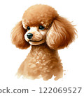 Cute toy poodle 122069527