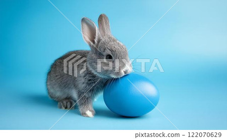 Gray baby rabbit and easter eggs 122070629
